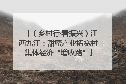 （乡村行·看振兴）江西九江：甜蜜产业拓宽村集体经济“增收路”