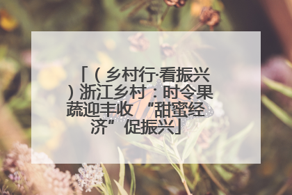 （乡村行·看振兴）浙江乡村：时令果蔬迎丰收 “甜蜜经济”促振兴