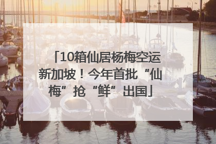 10箱仙居杨梅空运新加坡！今年首批“仙梅”抢“鲜”出国
