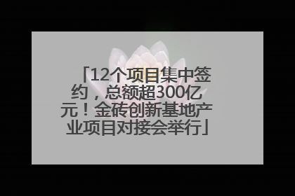 12个项目集中签约，总额超300亿元！金砖创新基地产业项目对接会举行