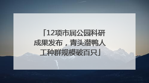 12项市属公园科研成果发布，青头潜鸭人工种群规模破百只