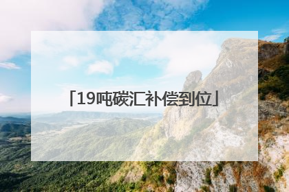 19吨碳汇补偿到位