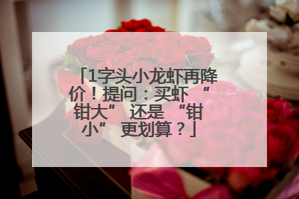 1字头小龙虾再降价！提问：买虾 “钳大” 还是 “钳小” 更划算？