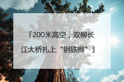 200米高空，双柳长江大桥扎上“钢铁辫”