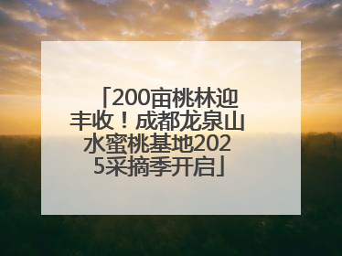 200亩桃林迎丰收！成都龙泉山水蜜桃基地2025采摘季开启