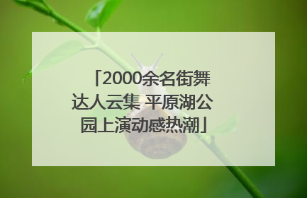 2000余名街舞达人云集 平原湖公园上演动感热潮