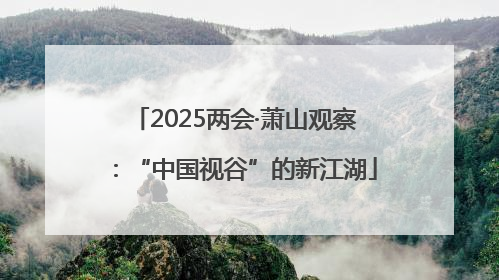 2025两会·萧山观察：“中国视谷”的新江湖