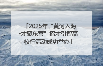 2025年“黄河入海•才聚东营”招才引智高校行活动成功举办