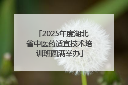 2025年度湖北省中医药适宜技术培训班圆满举办