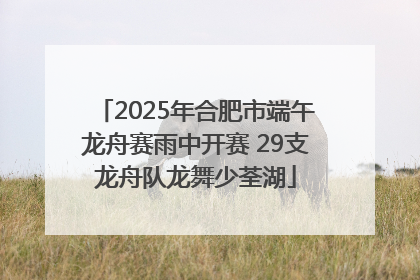 2025年合肥市端午龙舟赛雨中开赛 29支龙舟队龙舞少荃湖