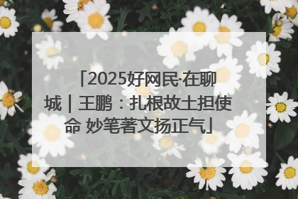 2025好网民·在聊城｜王鹏：扎根故土担使命 妙笔著文扬正气