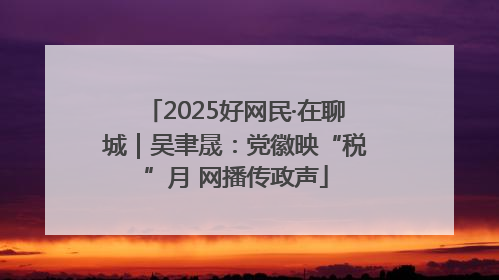 2025好网民·在聊城｜吴聿晟：党徽映“税”月 网播传政声