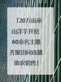 20万亩巫山洋芋开挖 60余名主播齐聚田间直播助农销售