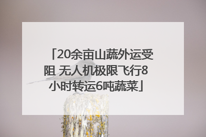 20余亩山蔬外运受阻 无人机极限飞行8小时转运6吨蔬菜