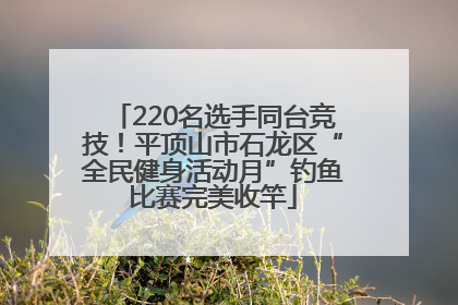 220名选手同台竞技！平顶山市石龙区“全民健身活动月”钓鱼比赛完美收竿