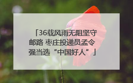 36载风雨无阻坚守邮路 枣庄投递员孟令强当选“中国好人”