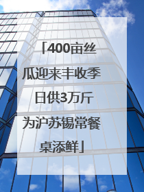 400亩丝瓜迎来丰收季 日供3万斤为沪苏锡常餐桌添鲜