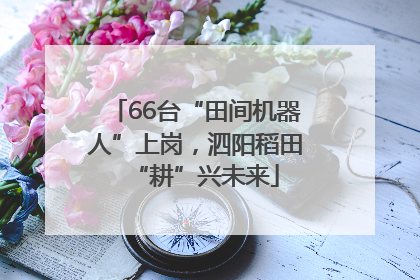 66台“田间机器人”上岗，泗阳稻田“耕”兴未来