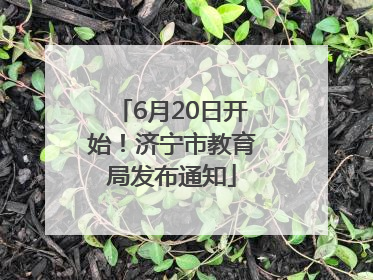 6月20日开始！济宁市教育局发布通知