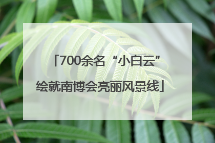 700余名“小白云”绘就南博会亮丽风景线
