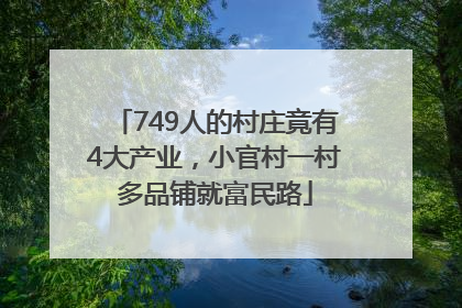 749人的村庄竟有4大产业，小官村一村多品铺就富民路