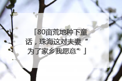80亩荒地种下童话，珠海这对夫妻“为了家乡我愿意”