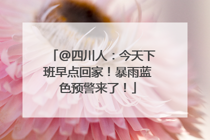 @四川人：今天下班早点回家！暴雨蓝色预警来了！