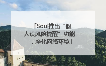 Soul推出“假人设风险提醒”功能，净化网络环境